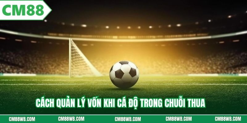 Cách quản lý vốn khi cá độ trong chuỗi thua