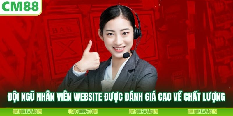 Đội ngũ nhân viên website được đánh giá cao về chất lượng