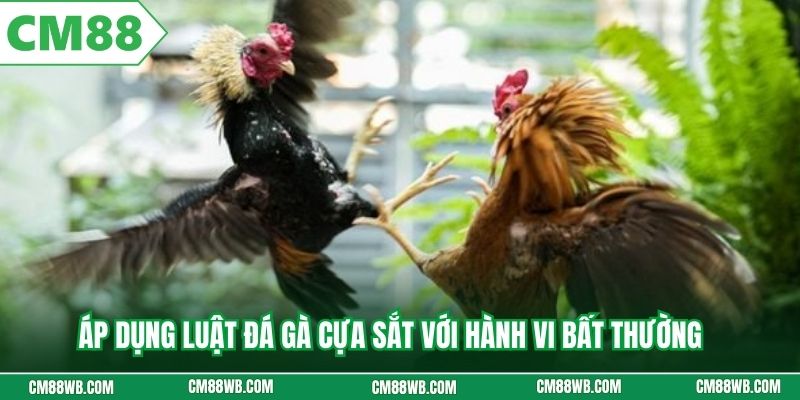 Áp dụng luật đá gà cựa sắt với hành vi bất thường