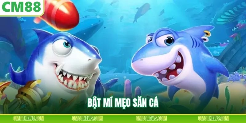 Bật mí mẹo săn cá