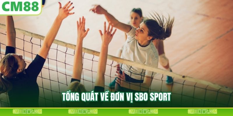 Tổng quát về đơn vị SBO Sport